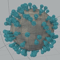 Covid-19, Korona-virus