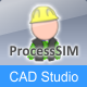 ProcessSIM